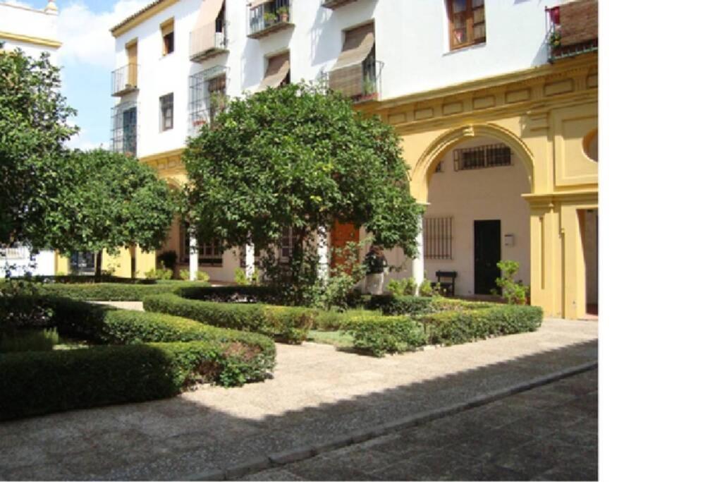 Centrico Y Amplio 100% Equipado Apartamento *